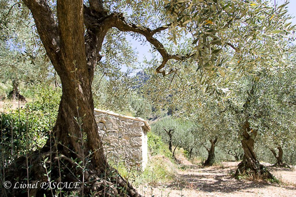 Gite Marius Mirabel-aux-Baronnies Εξωτερικό φωτογραφία